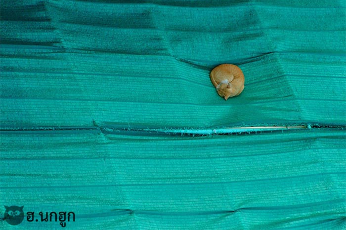 ภาพถ่ายผลงานของเรา